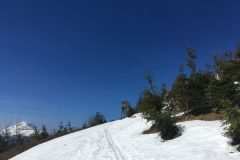 Skitour Hennesteck, Knapp an der Baumgrenze