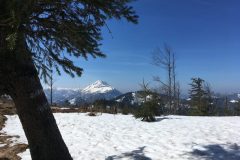Skitour Hennesteck, Blick aus dem Wald in die Landschaft