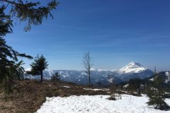 Skitour Hennesteck, Blick aus dem Wald in die Landschaft