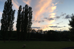 20-06-13-20-52-50-7302