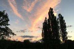 20-06-13-20-56-15-7307