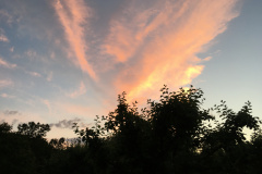 20-06-13-20-59-58-7309