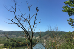 20-05-07-14-25-44-7155