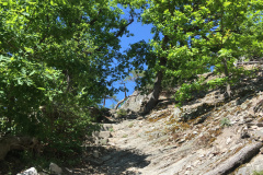 20-05-07-14-37-08-7156