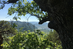 20-05-07-15-44-35-7168