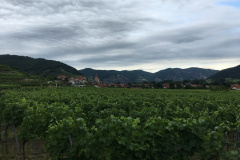 21-06-30-16-19-03-8153