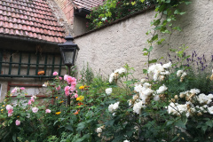 21-06-30-16-39-55-8156