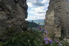 21-09-02-14-05-16-8517