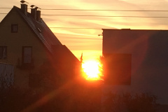 19-03-23-18-00-22-5648