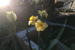 20-04-23-18-56-49-7108