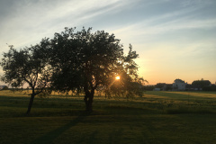 20-05-16-20-01-08-7208