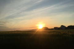 20-05-16-20-02-25-7209