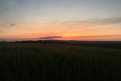 20-05-16-20-42-30-7215