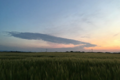 20-05-16-20-42-42-7216