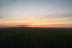 20-05-16-20-44-05-7217