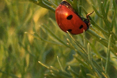 20-06-11-20-30-13-7267