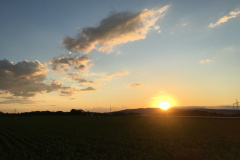 20-06-11-20-36-04-7271