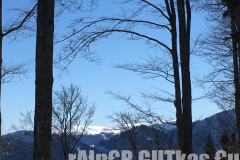 Skitour Gemeindealpe, Blick aus dem Wald, Richtung Mariazell