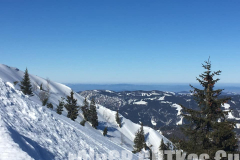 Skitour Gemeindealpe, Blick über den Steilhang Skitour Gemeindealpe, Blick über den Steilhang