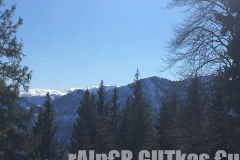 Skitour Gemeindealpe, Blick auf die Berge, aus dem Wald
