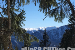 Skitour Gemeindealpe, Blick durch die Nadelbäume über verschneite Gipfel