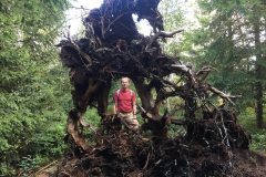 Im Tannermoor mit Wurzelrahmen