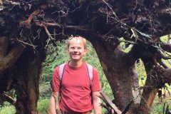 Im Tannermoor mit Wurzelrahmen