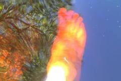 Mein Fuß im Tannermoor