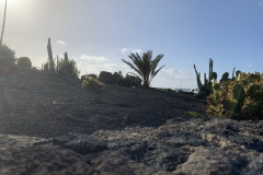 22-03-06-17-09-17-8938