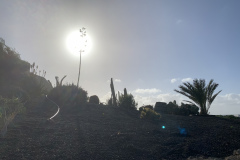 22-03-06-17-09-25-8939