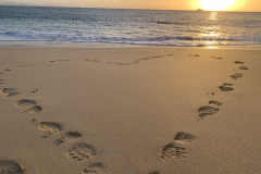 22-03-06-18-42-09-8948 22-03-06-18-42-09-8948