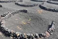 22-03-07-13-53-37-8964 22-03-07-13-53-37-8964