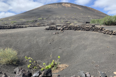 22-03-07-13-55-06-8966 22-03-07-13-55-06-8966