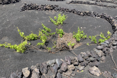 22-03-07-13-55-52-8967 22-03-07-13-55-52-8967