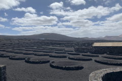 22-03-07-14-06-51-8969 22-03-07-14-06-51-8969