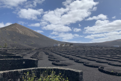 22-03-07-14-06-56-8970 22-03-07-14-06-56-8970