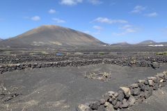 22-03-07-14-29-03-8974 22-03-07-14-29-03-8974