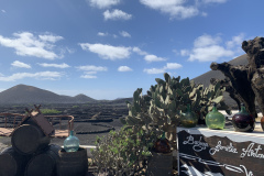 22-03-07-14-41-08-8975 22-03-07-14-41-08-8975