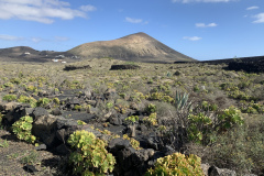 22-03-07-15-22-33-8978 22-03-07-15-22-33-8978