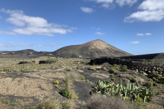 22-03-07-15-23-13-8979 22-03-07-15-23-13-8979