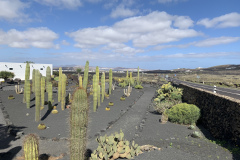 22-03-07-15-25-34-8980 22-03-07-15-25-34-8980