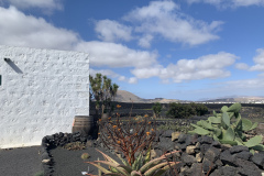 22-03-07-15-27-16-8981 22-03-07-15-27-16-8981