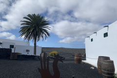 22-03-07-15-46-27-8982 22-03-07-15-46-27-8982