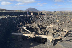 22-03-07-16-45-21-8986 22-03-07-16-45-21-8986