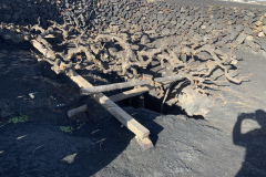 22-03-07-16-46-55-8987 22-03-07-16-46-55-8987