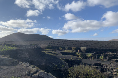 22-03-07-16-48-01-8988 22-03-07-16-48-01-8988