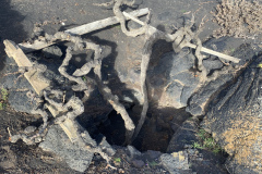 22-03-07-16-49-50-8989 22-03-07-16-49-50-8989