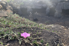 22-03-07-16-52-10-8990 22-03-07-16-52-10-8990