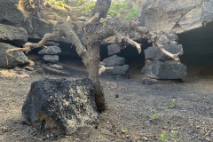 22-03-07-16-53-03-8991 22-03-07-16-53-03-8991