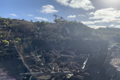 22-03-07-16-54-45-8992 22-03-07-16-54-45-8992